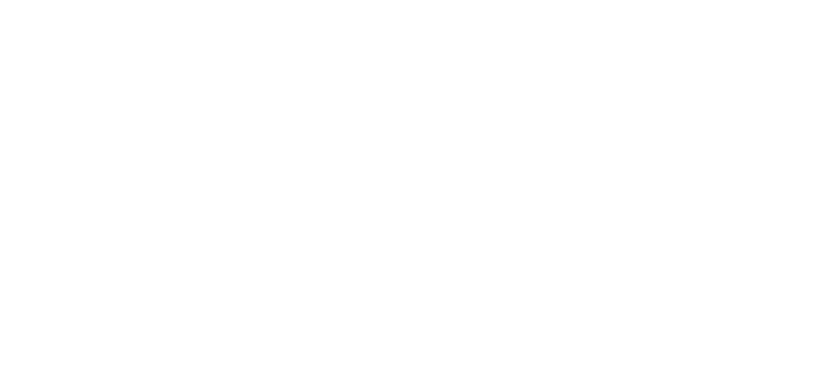 Vincitore logo